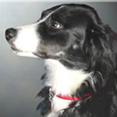 Janey was adopted in 2003